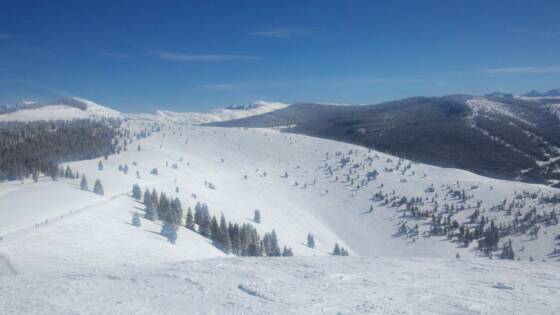 Vail Resort Powder Day