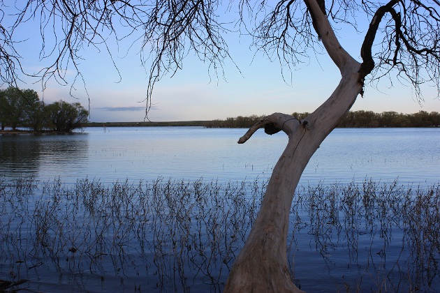 Prewitt Reservoir State Wildlife Area